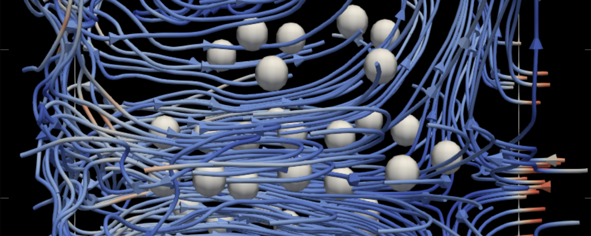 Computational Physics, Quanten Systeme und Komplexe Systeme