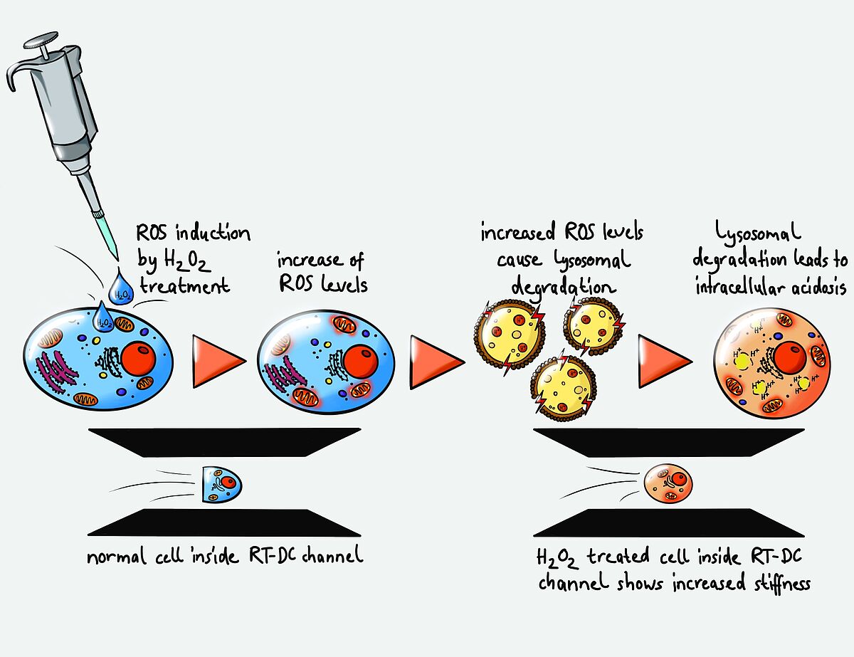 Communication Physics (2024)